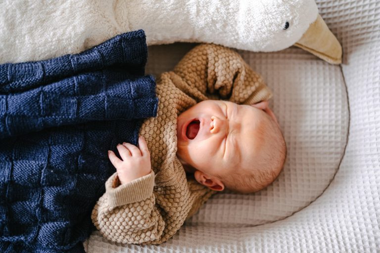Baby im Wochenbett mit Kucheltiergans